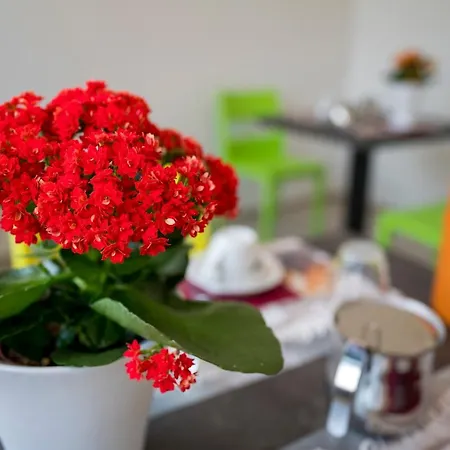 Vino E Turismo Gæstehus San Defedente di Cervasca