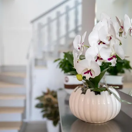 Gæstehus Vino E Turismo 3*