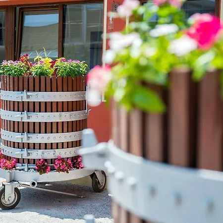 Гостевой дом Vino E Turismo