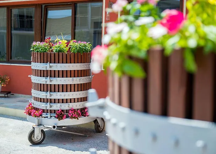 Gasthof Vino E Turismo